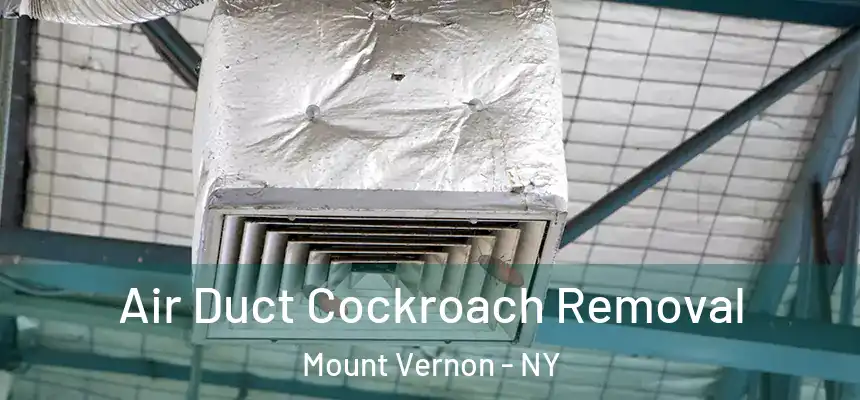 Air Duct Cockroach Removal Mount Vernon - NY