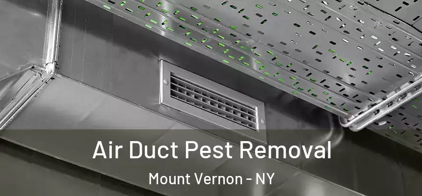  Air Duct Pest Removal Mount Vernon - NY