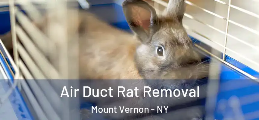  Air Duct Rat Removal Mount Vernon - NY