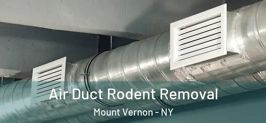  Air Duct Rodent Removal Mount Vernon - NY