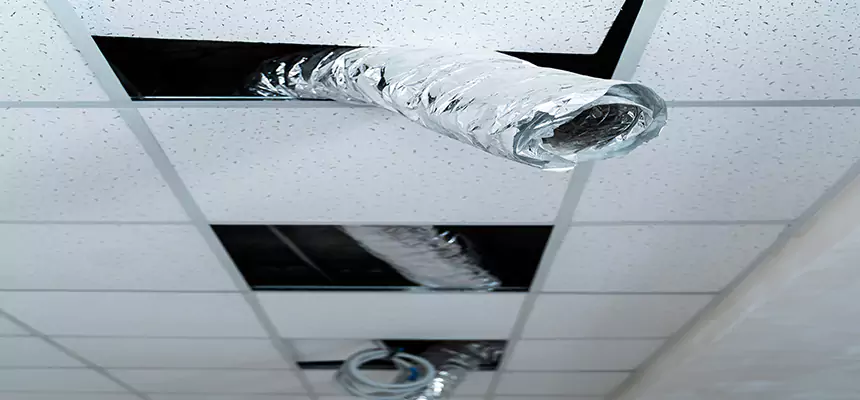 Affordable HVAC Sanitizing After Pest Removal in Mount Vernon