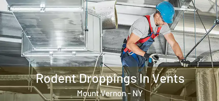  Rodent Droppings In Vents Mount Vernon - NY