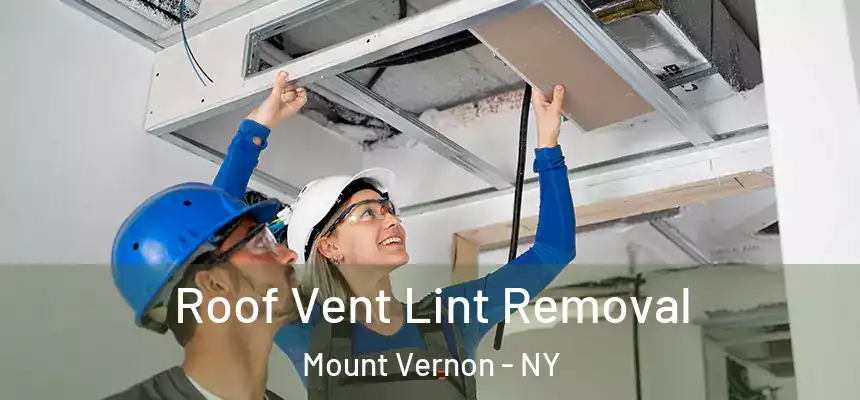 Roof Vent Lint Removal Mount Vernon - NY