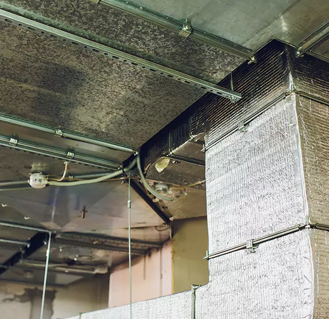 Why Homeowners & Businesses Trust Us in Mount Vernon, NY?